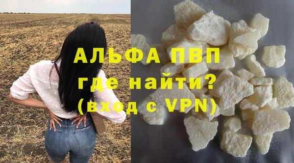 сатива Балахна