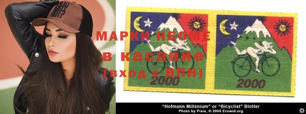 сатива Балахна