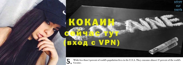 сатива Балахна