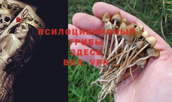 сатива Балахна