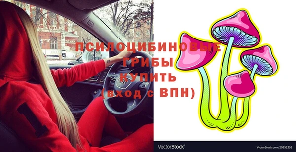 сатива Балахна