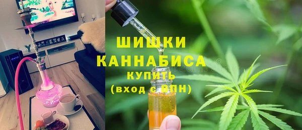 сатива Балахна