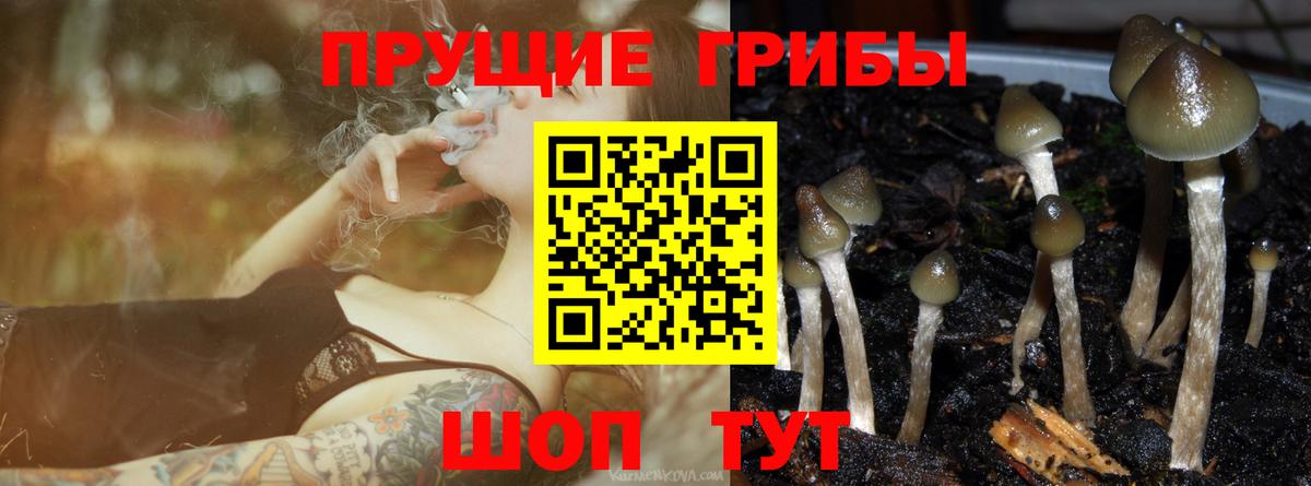Галлюциногенные грибы Psilocybine cubensis  Галлюциногенные грибы MAGIC MUSHROOMS  Вход с VPN  Верхняя Салда 